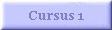 Cursus 1