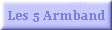Les 5 Armband