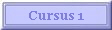 Cursus 1