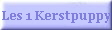 Les 1 Kerstpuppy